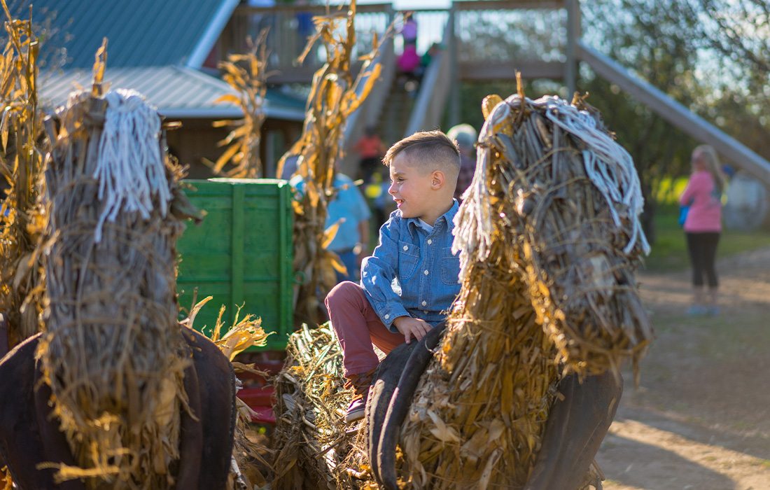 Fischer Farms Pumpkin Patch & Corn Maze is a classic spot for families.