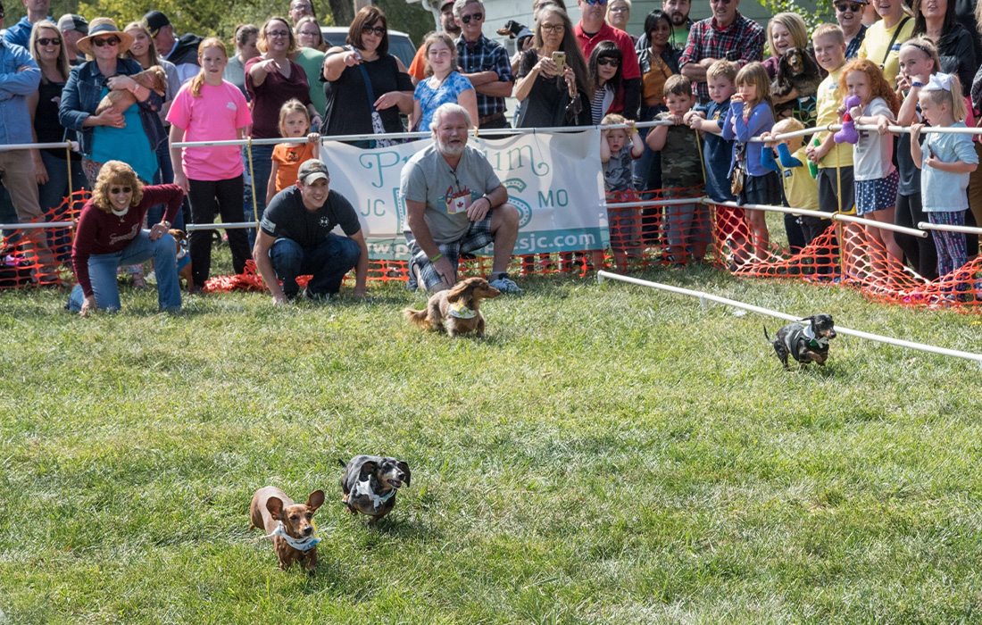 The Dachshund Derby is a highlight of Jefferson City's Oktoberfest.
