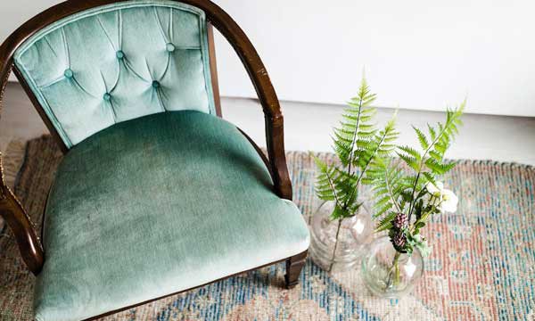 Lightbox Plants Picture
