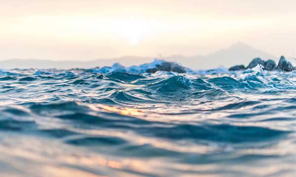 Ocean