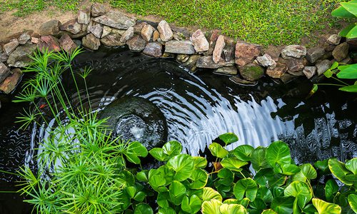 Backyard Pond Stock Image