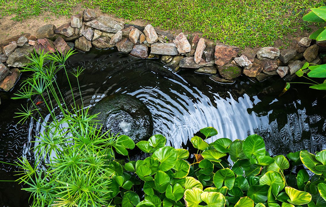 Backyard Pond Stock Image