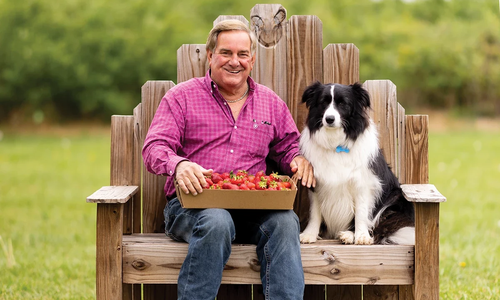 Randy Little sits on a bench with a dog at Missouri Berries
