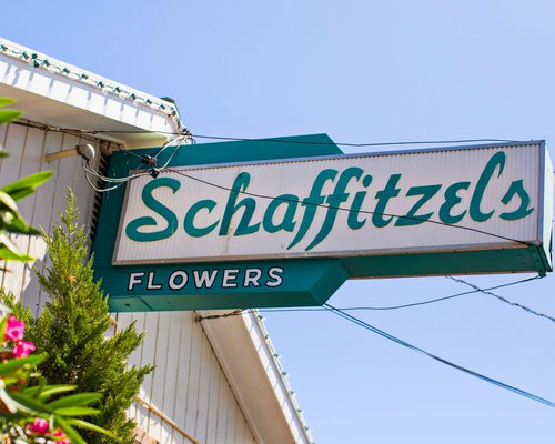 Schaffitzel’s Flowers
