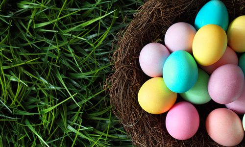 Easter eggs in a basket on grass