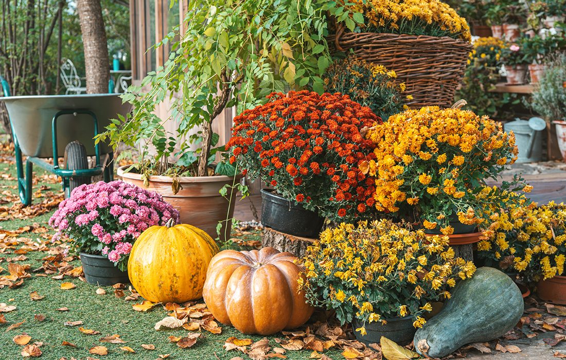 Fall festival