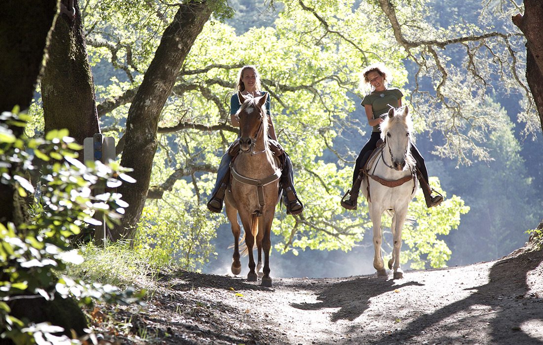 Horseback riders on trail stock image