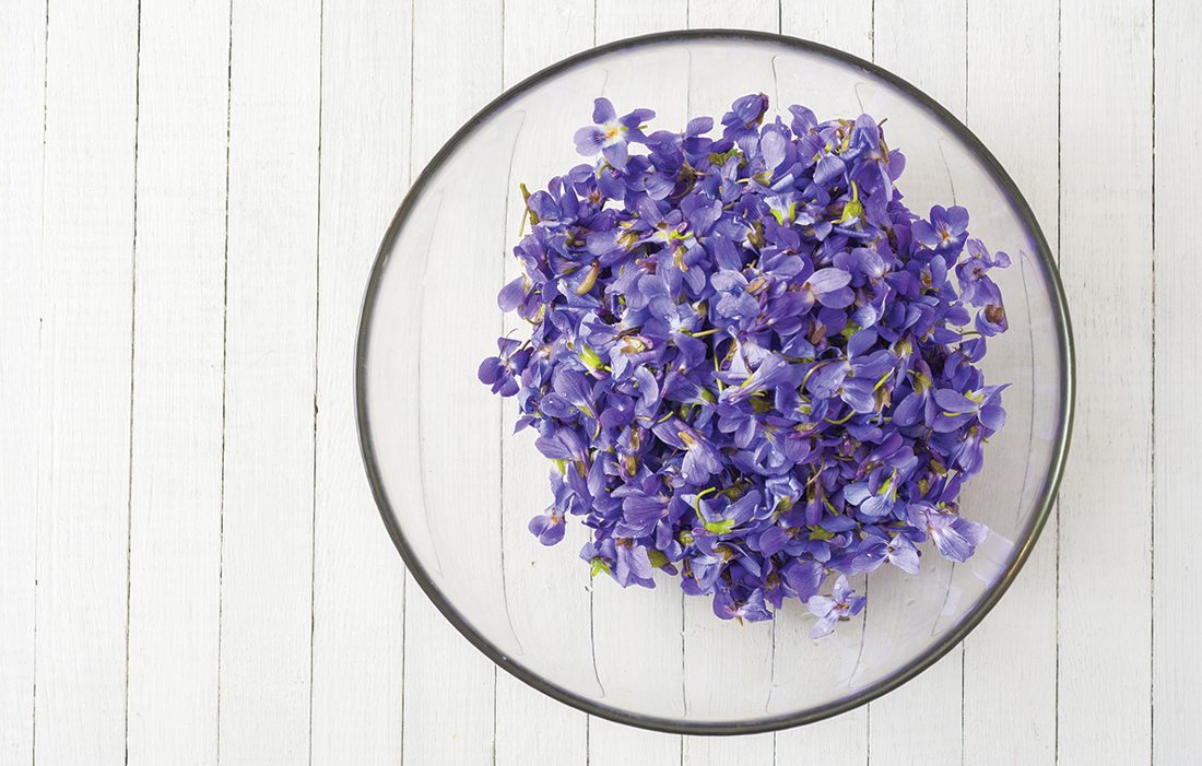 Violets on a table