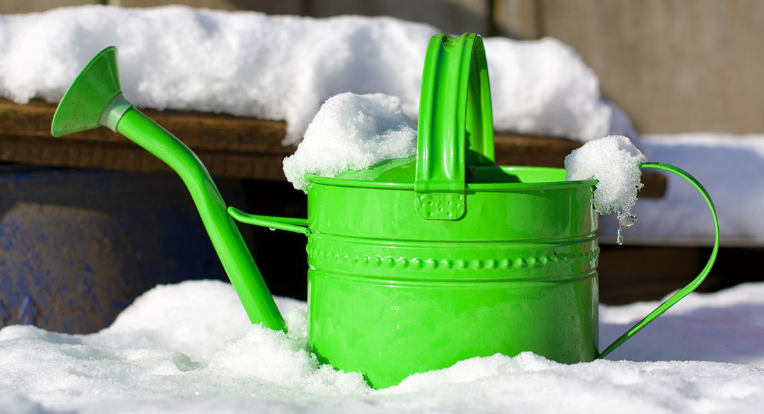 Keep Your Flora Healthy with a Frost Blanket