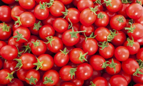 Shutterstock photo of cherry tomatoes