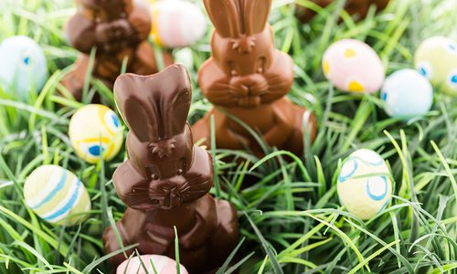 Chocolate bunnies in grass stock image