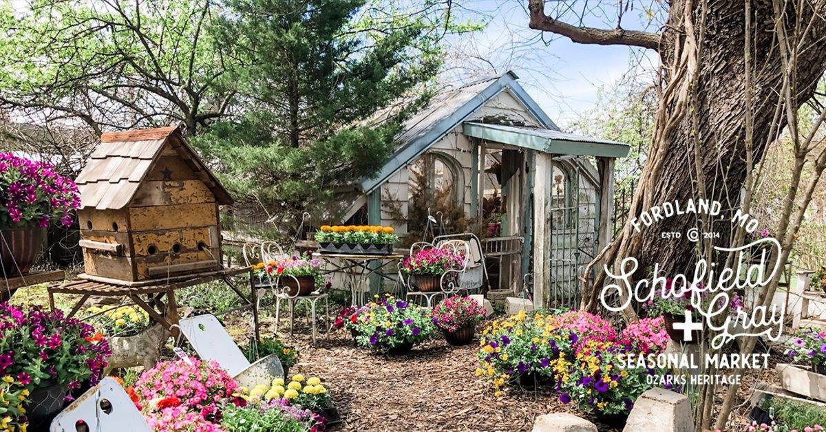 Spring festival in Fordland, MO