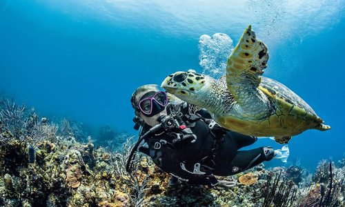 Receive a Scuba Certification at Diventures in Springfield, MO.