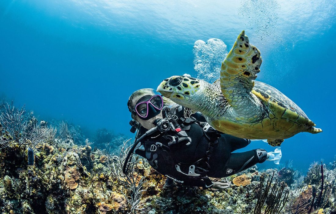 Swimming with turtles at Diventures.