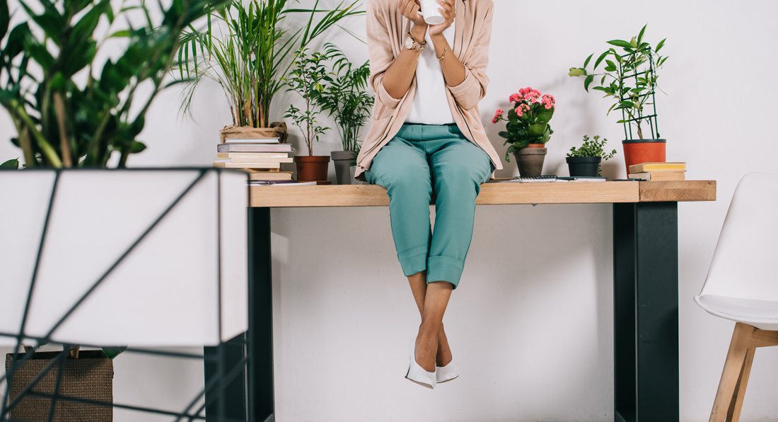 Find Your Perfect Office Plant