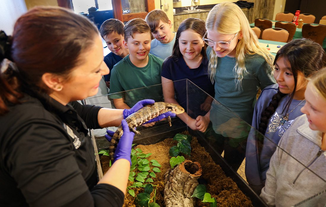 The Animal Ambassador program helps people connect with wildlife on a deeper level.