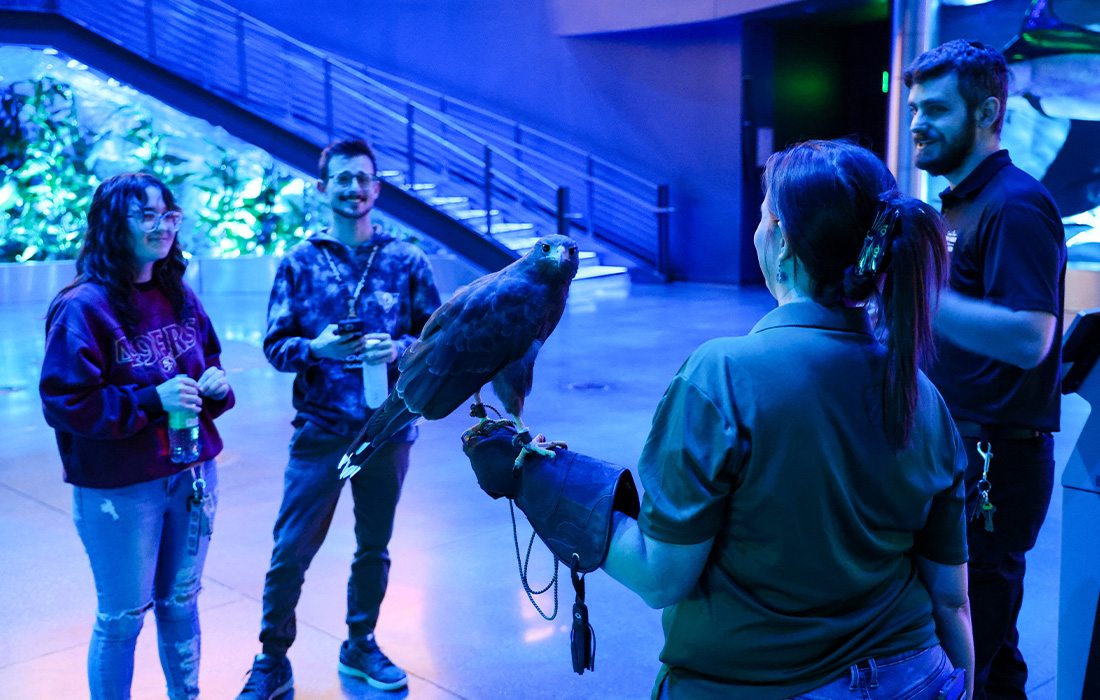 Wonders of Wildlife offers exclusive events only available to their members.