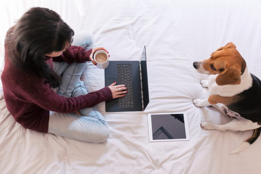 Woman working from home in bed with a dog