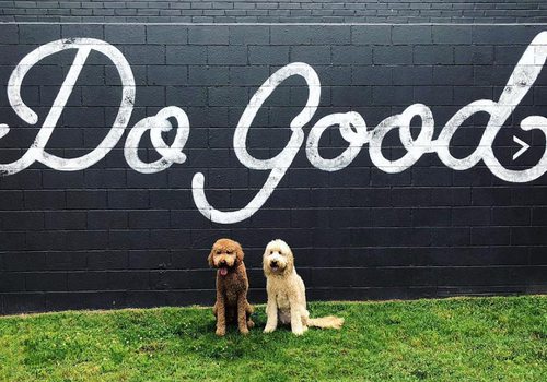 Most Instagrammable Places in Springfield, MO