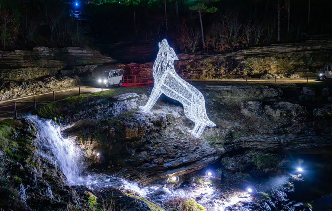 Nature_at_Night_OHP_branded_De